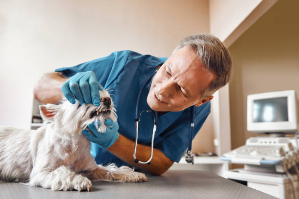 Best Same-Day Emergency Dentist in Riceville, TN